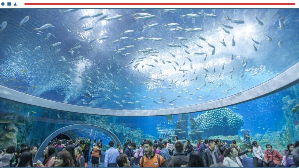 Blog du lịch Nha Trang tự túc siêu tiết kiệm 2025 7 Blog Du Lịch Nha Trang Tự Túc Siêu Tiết Kiệm 2025